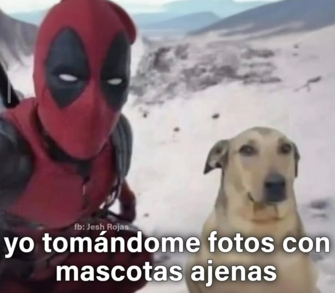 yo tomándome fotos con mascotas ajenas