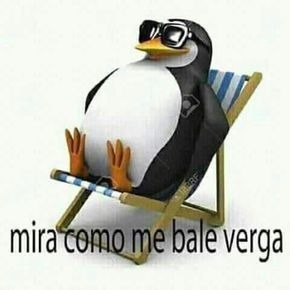 mira como me bale verga