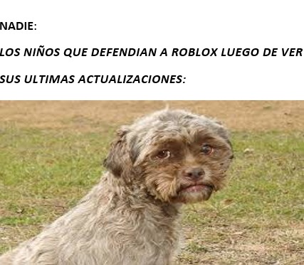 NADIE:
LOS NIÑOS QUE DEFENDIAN A ROBLOX LUEGO DE VER SUS ULTIMAS ACTUALIZACIONES:
