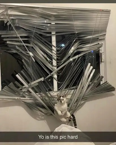 ¿Esta foto es difícil?
