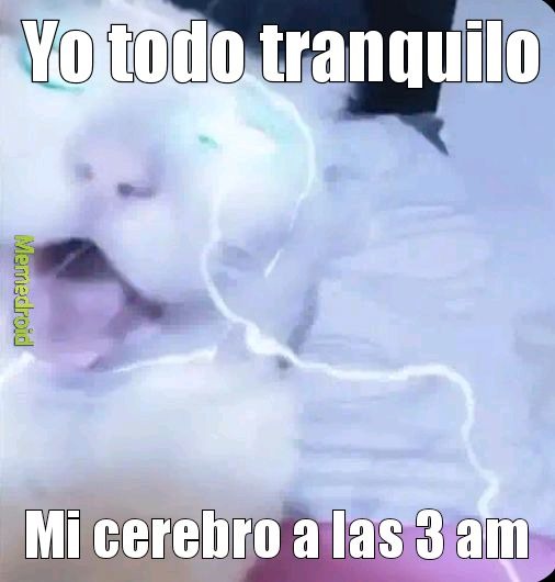 Yo todo tranquilo Mi cerebro a las 3 am