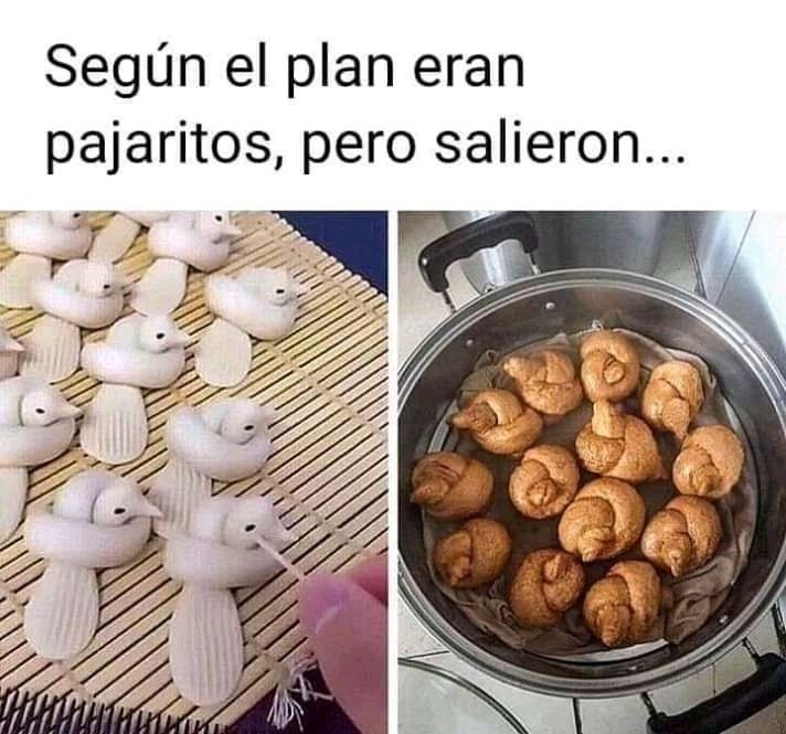 Según el plan eran pajaritos, pero salieron...