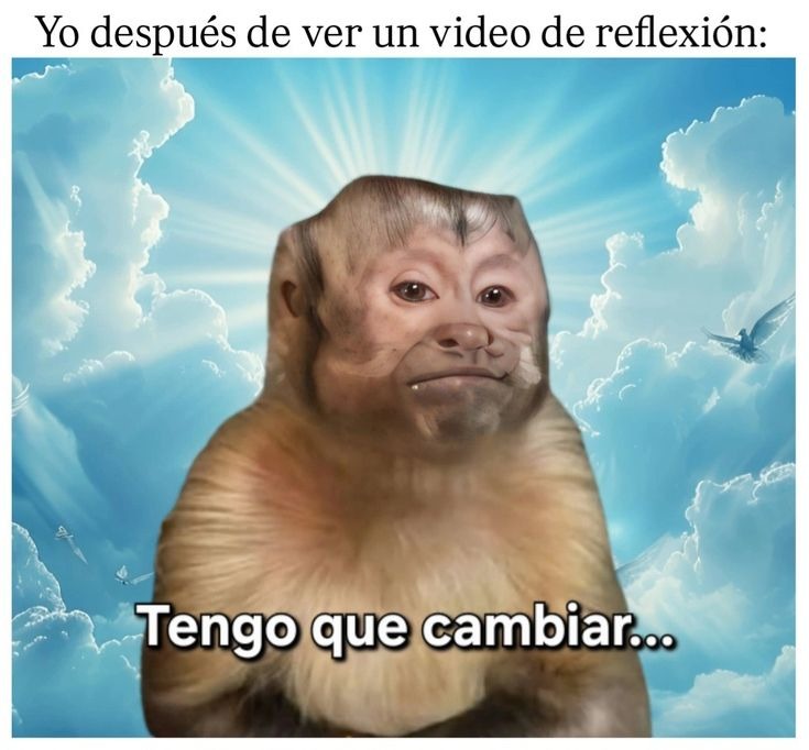 Yo después de ver un video de reflexión:
Tengo que cambiar...
