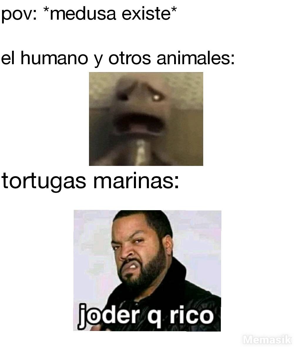 pov: *medusa existe*
el humano y otros animales:
tortugas marinas: