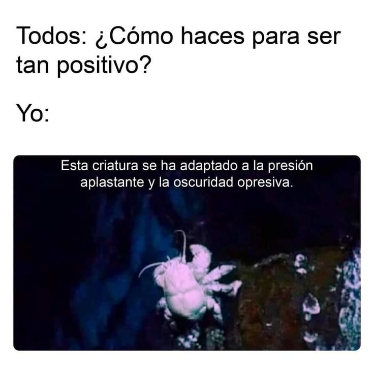Todos: ¿Cómo haces para ser tan positivo? Yo: Esta criatura se ha adaptado a la presión aplastante y la oscuridad opresiva.