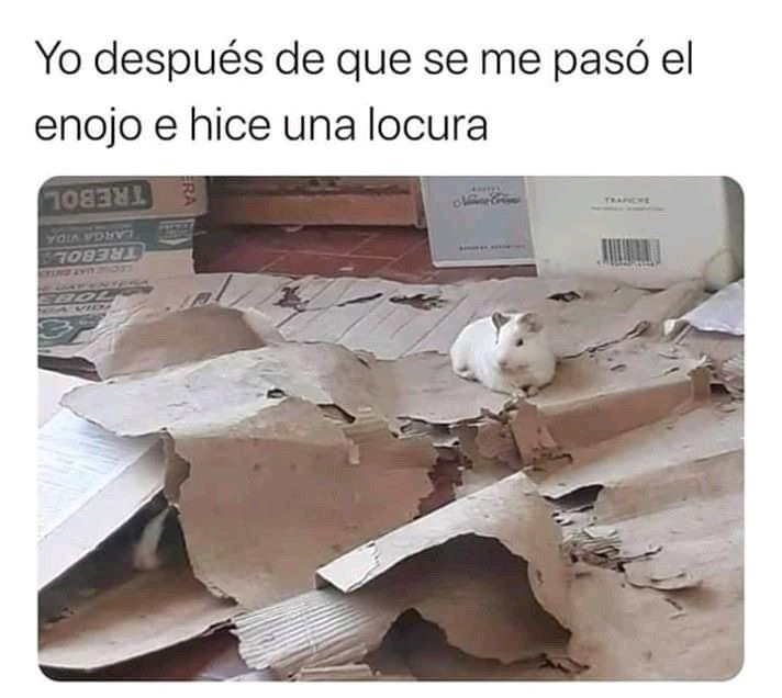 Yo después de que se me pasó el enojo e hice una locura