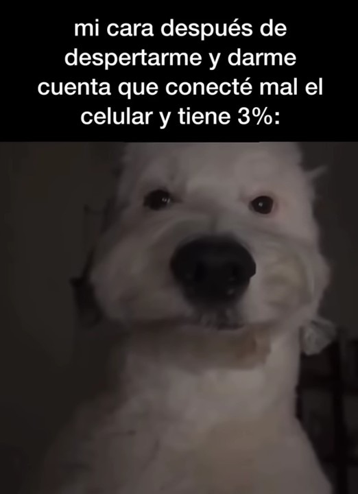 mi cara después de despertarme y darme cuenta que conecté mal el celular y tiene 3%: