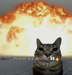 Primer dia de chef 👀🔥