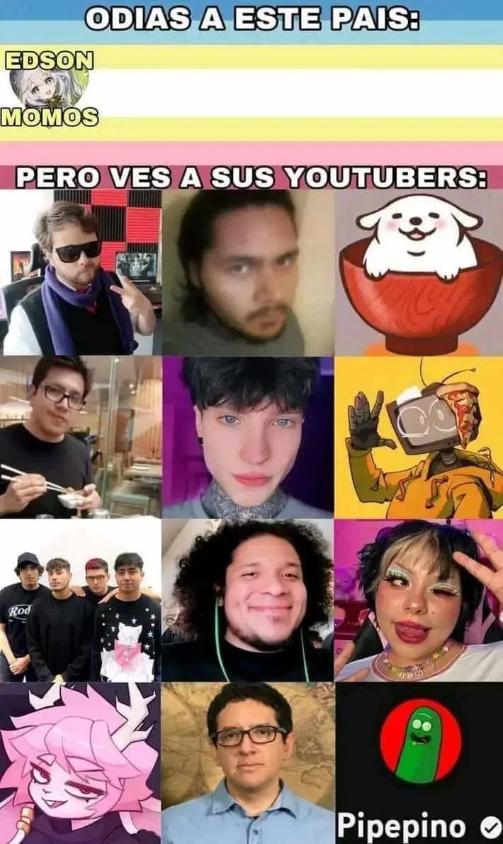 ODIAS A ESTE PAIS:
EDSON
MOMOS
PERO VES A SUS YOUTUBERS: