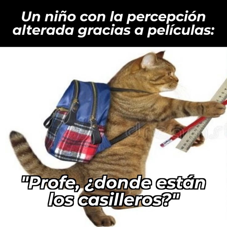 Un niño con la percepción alterada gracias a películas: Profe, ¿donde están los casilleros?