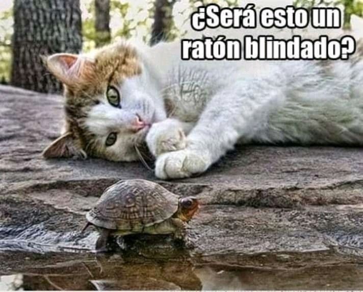 ¿Será esto un ratón blindado?