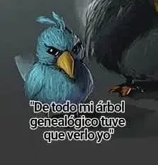 De todo mi árbol genealógico tuve que verlo yo