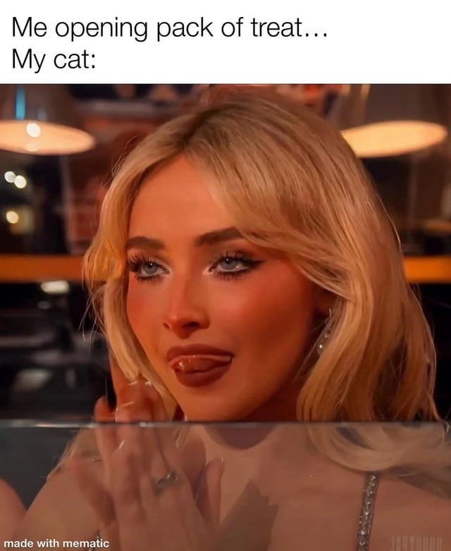 Me opening pack of treat... My cat: