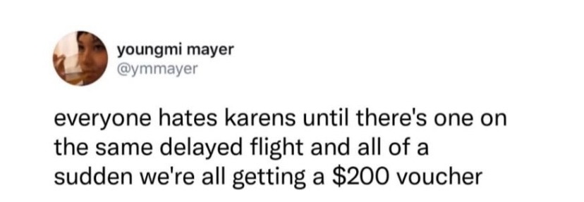 everyone hates karens until there's one on the same delayed flight and all of a sudden we're all getting a $200 voucher