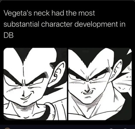 Vegeta's neck had the most substantial character development in DB