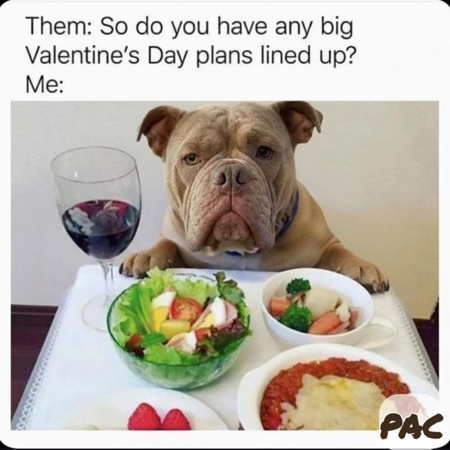 Them: So do you have any big Valentine's Day plans lined up? Me: