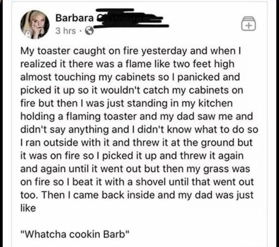 My toaster caught on fire yesterday and when I realized it there was a flame like two feet high almost touching my cabinets so I panicked and picked it up so it wouldn't catch my cabinets on fire but then I was just standing in my kitchen holding a flaming toaster and my dad saw me and didn't say anything and I didn't know what to do so I ran outsi