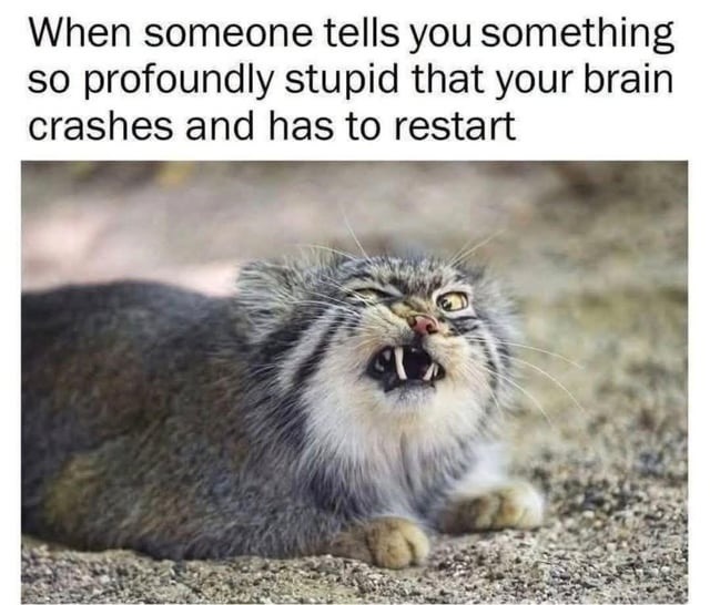 When someone tells you something so profoundly stupid that your brain crashes and has to restart