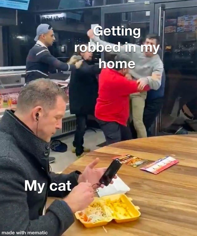 Getting robbed in my home
My cat