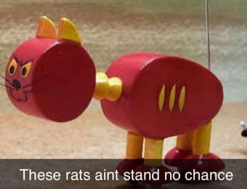 These rats aint stand no chance