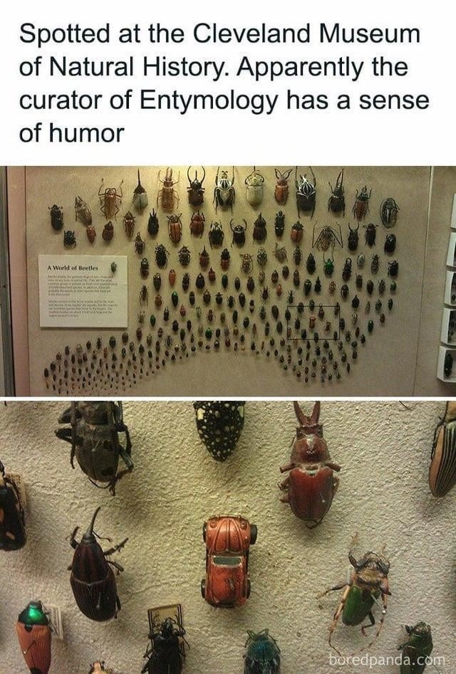 Spotted at the Cleveland Museum of Natural History. Apparently the curator of Entymology has a sense of humor
