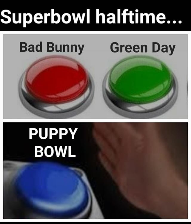 Superbowl halftime... Bad Bunny Green Day PUPPY BOWL