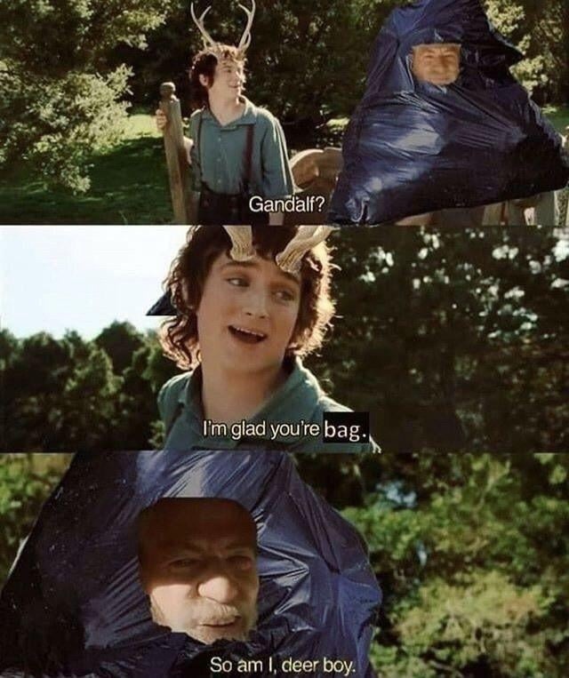 Gandalf?
I'm glad you're bag.
So am I, deer boy.