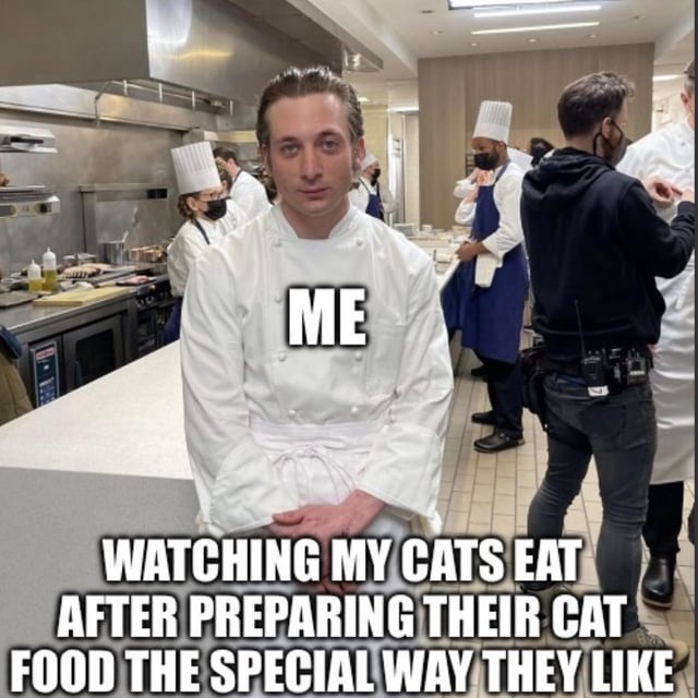 ME WATCHING MY CATS EAT AFTER PREPARING THEIR CAT FOOD THE SPECIAL WAY THEY LIKE