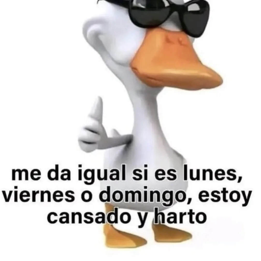 me da igual si es lunes, viernes o domingo, estoy cansado y harto