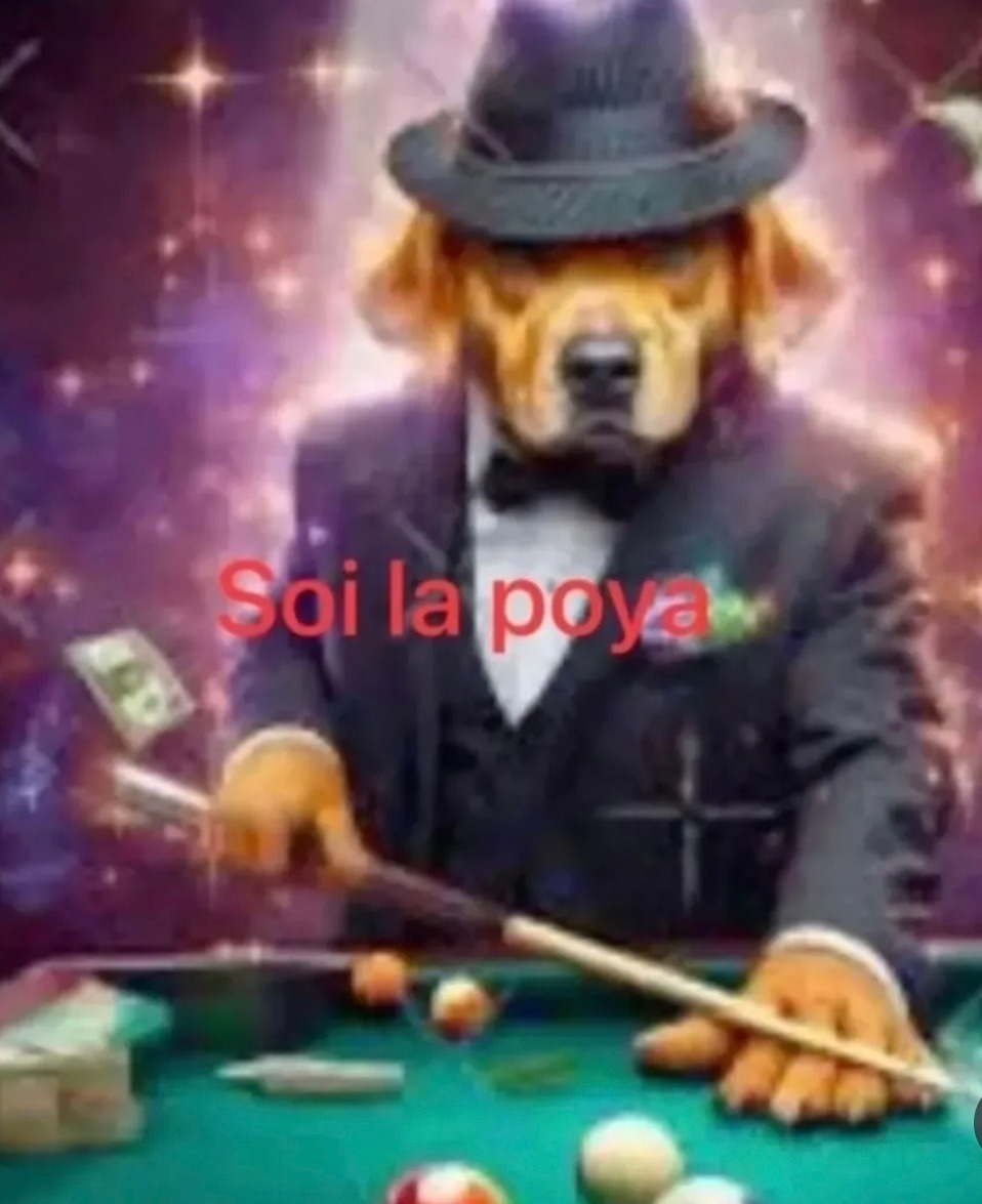 Soi la poya