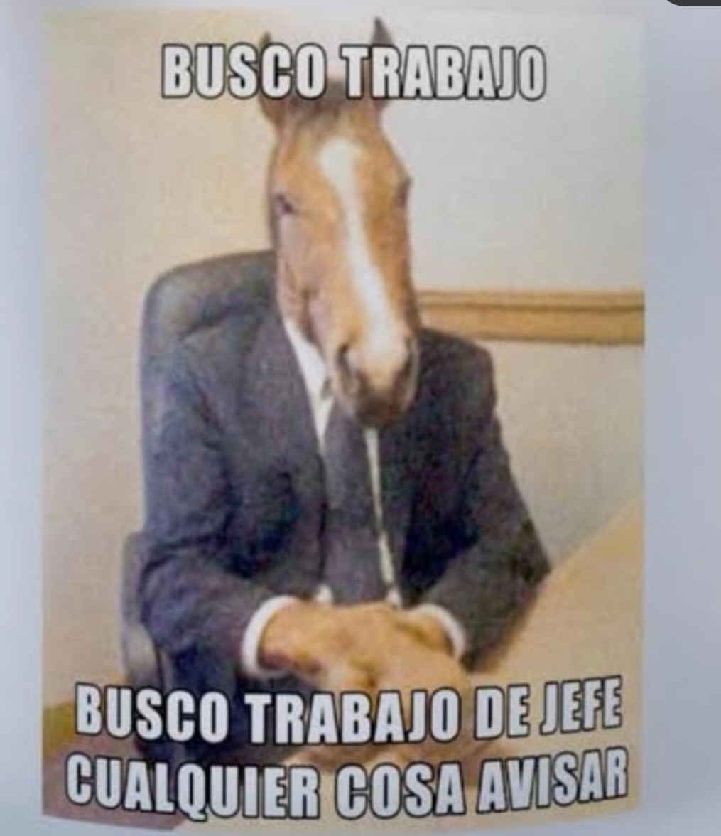 BUSCO TRABAJO
BUSCO TRABAJO DE JEFE CUALQUIER COSA AVISAR