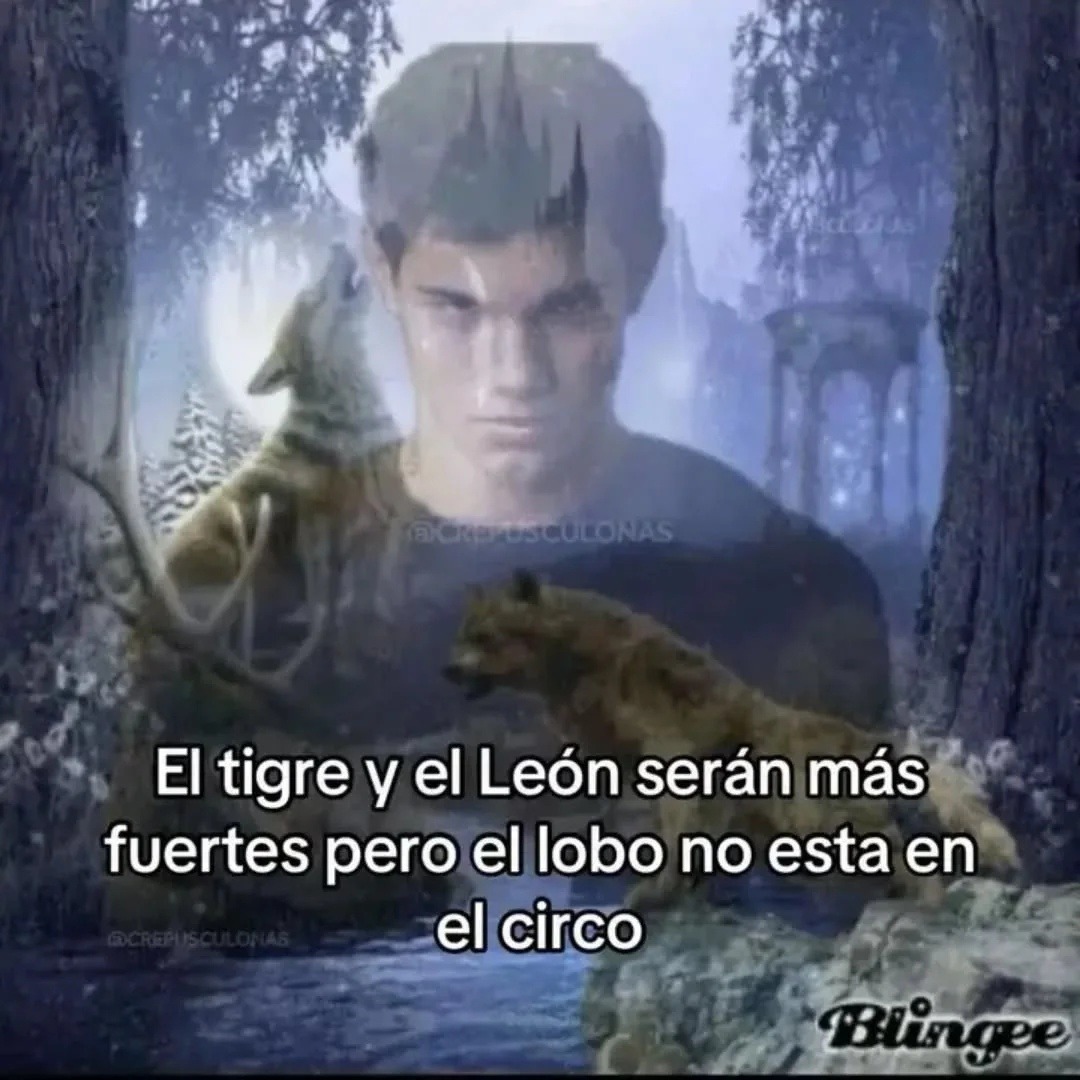 El tigre y el León serán más fuertes pero el lobo no esta en el circo