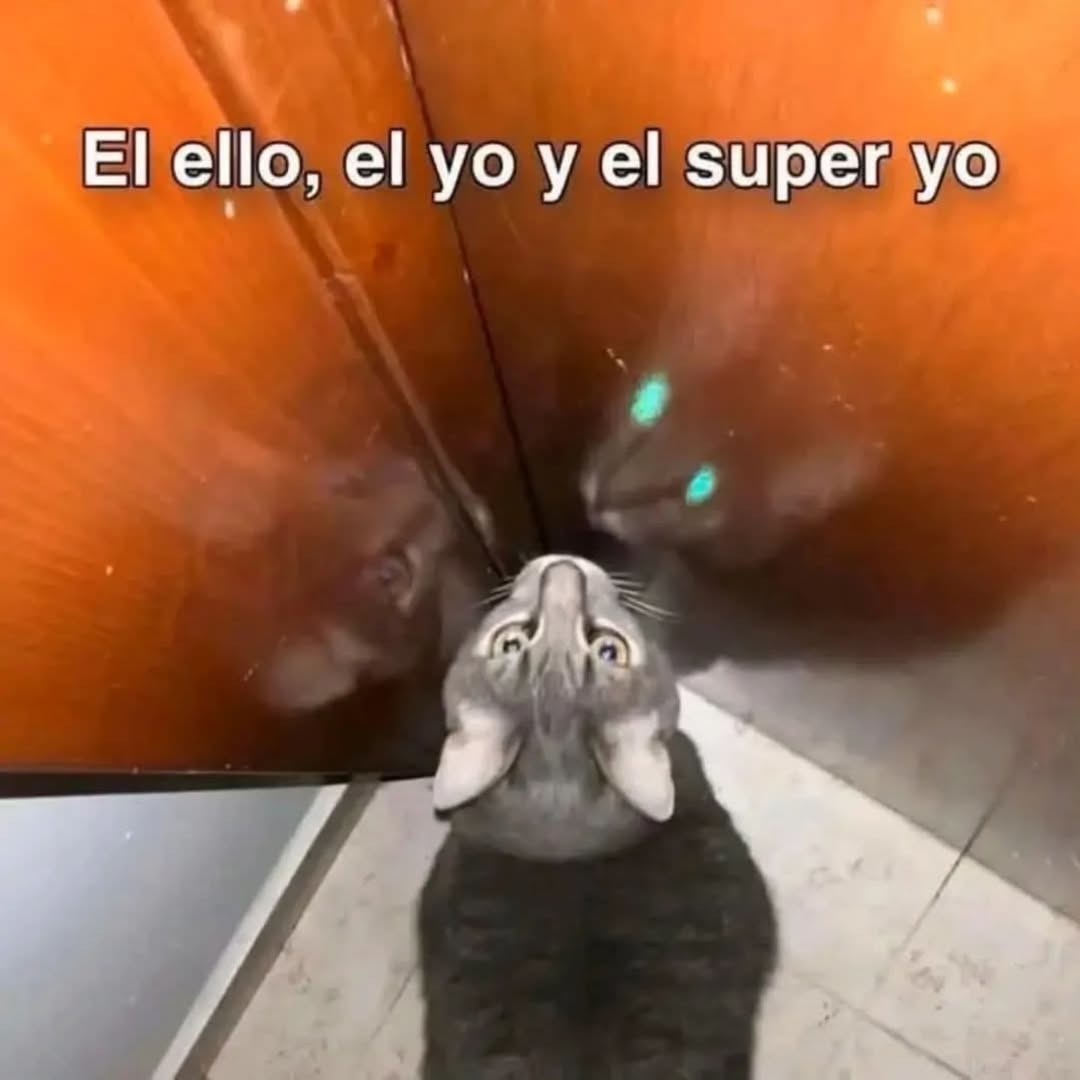 El ello, el yo y el super yo