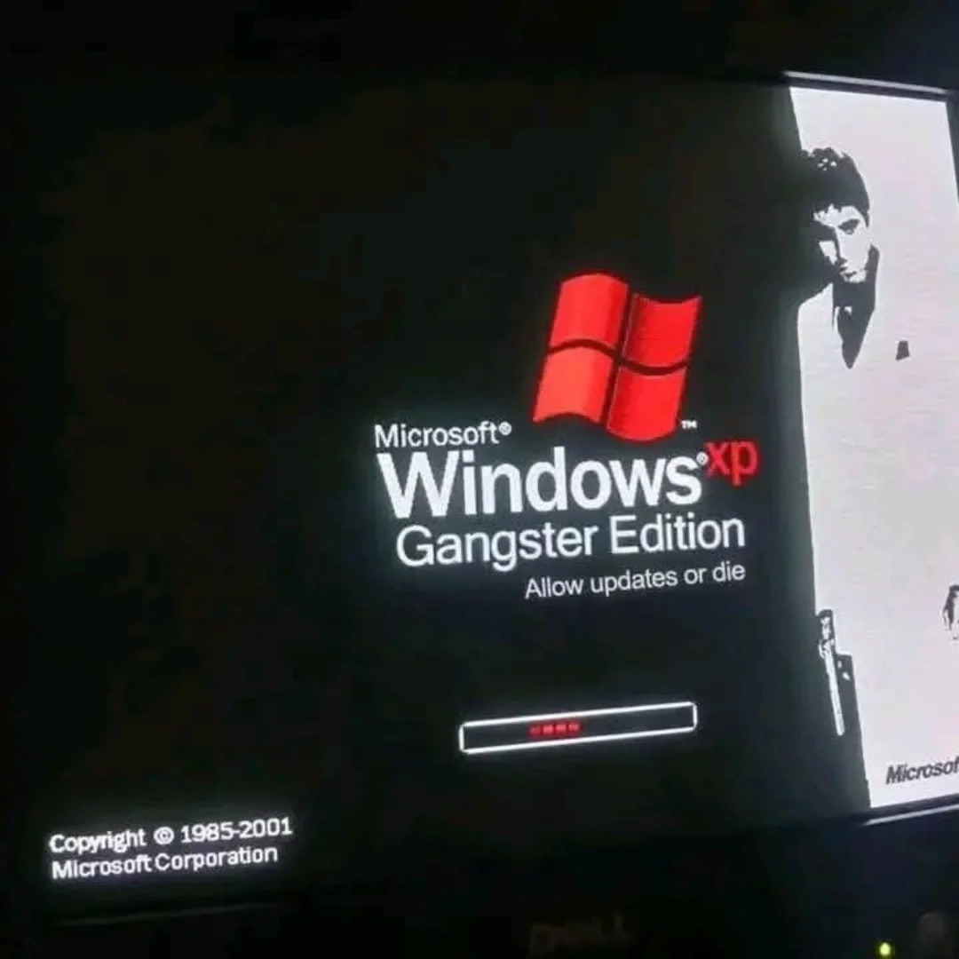Microsoft Windows XP Edición Gangster. Permite actualizaciones o muere. Copyright © 1985-2001 Microsoft Corporation