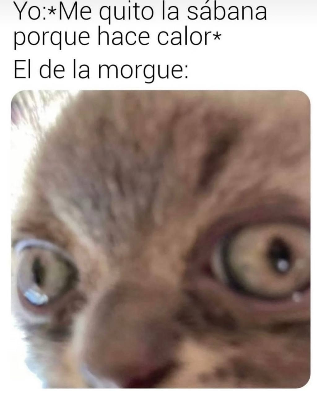 Yo:*Me quito la sábana porque hace calor* El de la morgue: