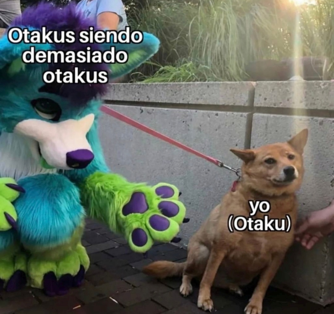 Otakus siendo demasiado otakus
yo (OtakU)