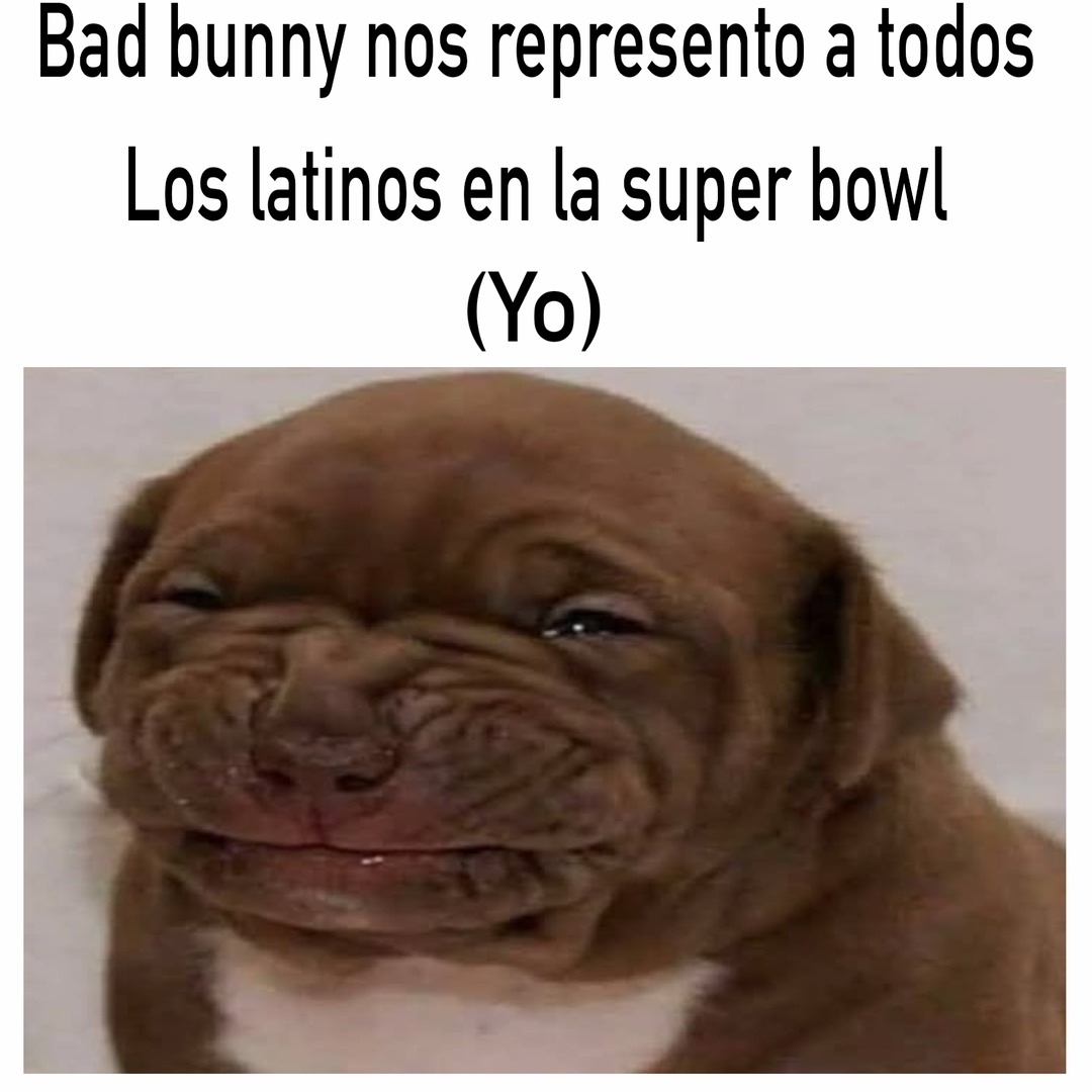 Bad bunny nos representa a todos
Los latinos en la super bowl
(Yo)