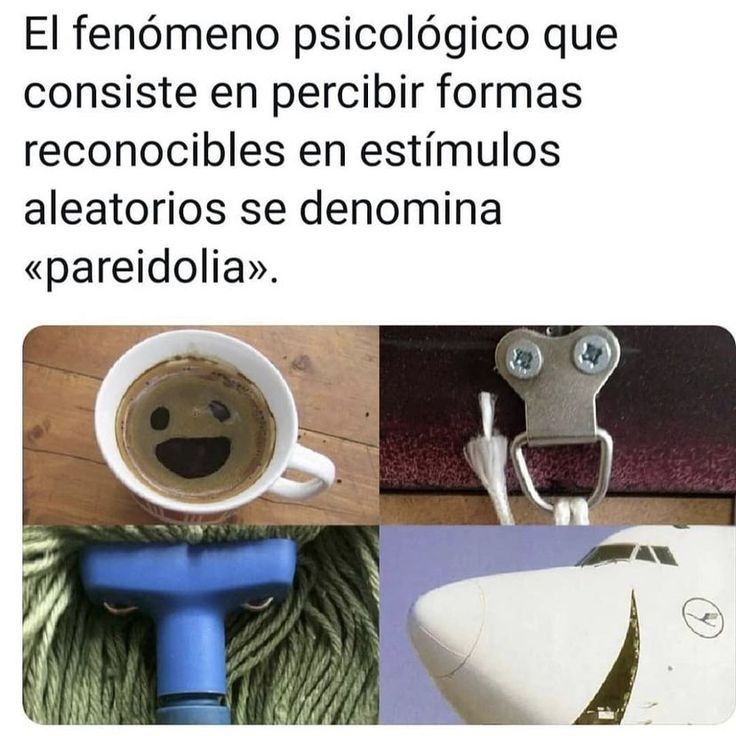 El fenómeno psicológico que consiste en percibir formas reconocibles en estímulos aleatorios se denomina «pareidolia».