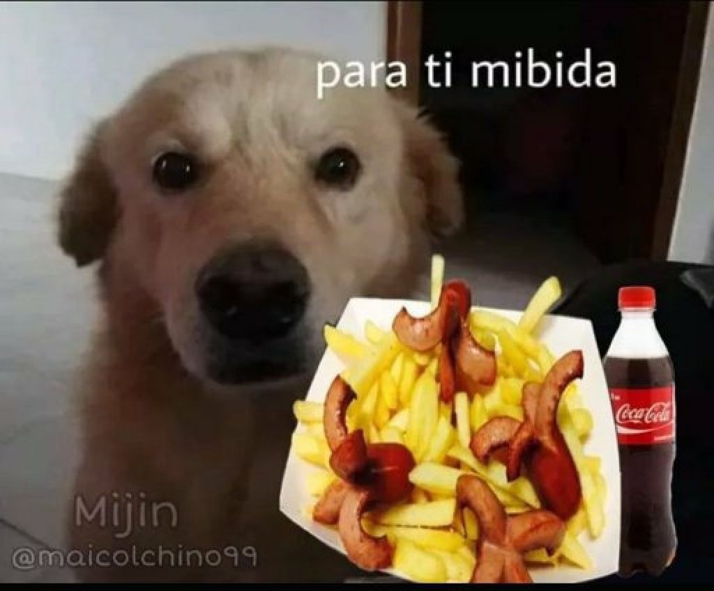 para ti mibida