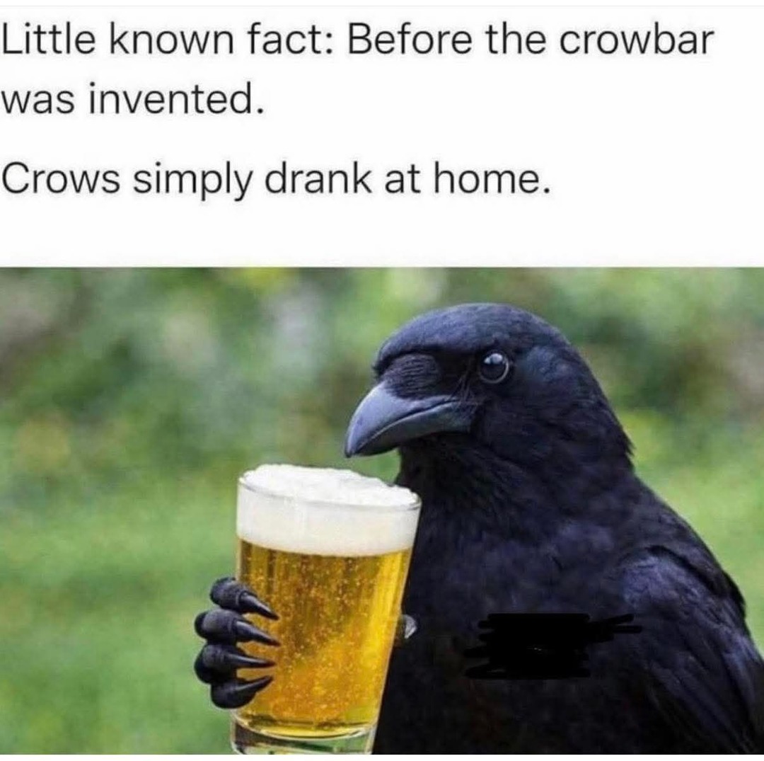 Little known fact: Before the crowbar was invented. Crows simply drank at home.