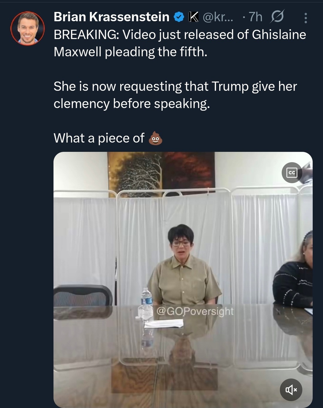 BREAKING: Video just released of Ghislaine Maxwell pleading the fifth. She is now requesting that Trump give her clemency before speaking. What a piece of 💩