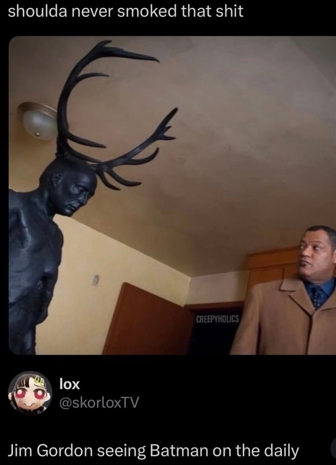 shoulda never smoked that shit
Jim Gordon seeing Batman on the daily