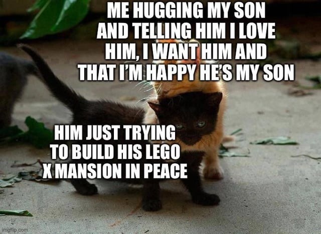 Me hugging my son and telling him I love him, I want him and that I'm happy he's my son
Him just trying to build his LEGO mansion in peace