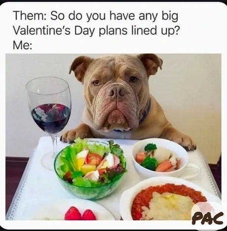 Them: So do you have any big Valentine's Day plans lined up? Me: