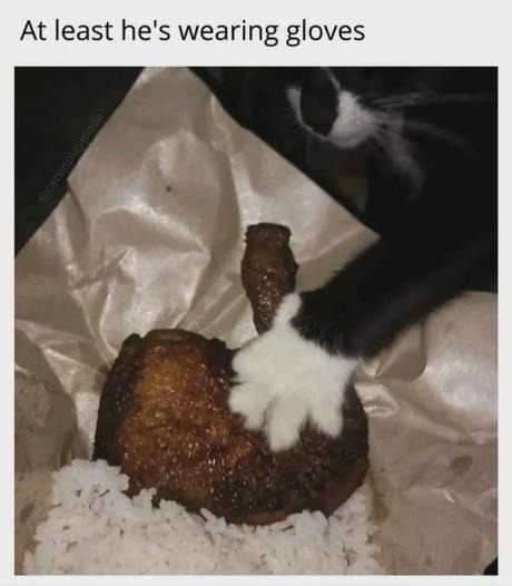 At least he's wearing gloves