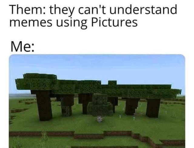 Them: they can't understand memes using Pictures
Me: