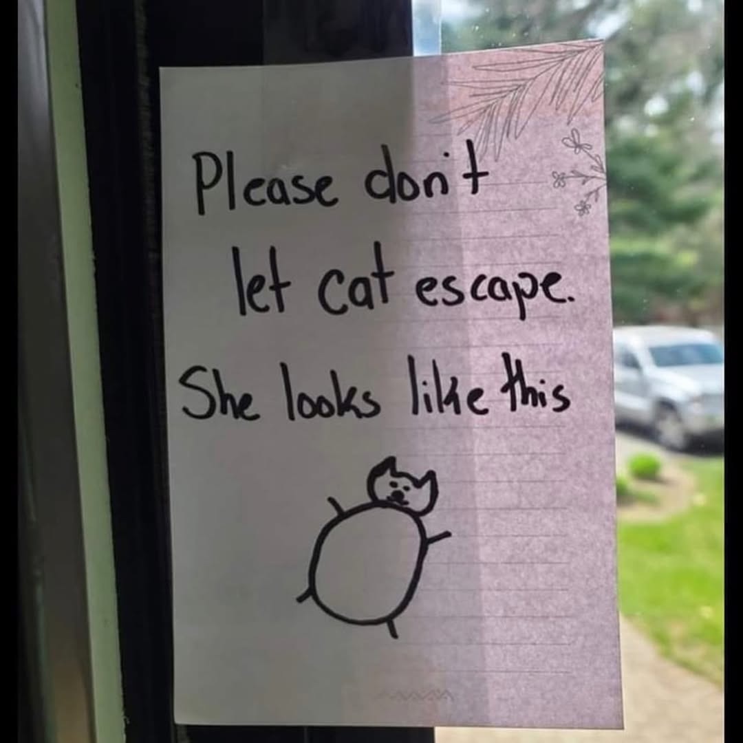 Please don't let cat escape. She looks like this