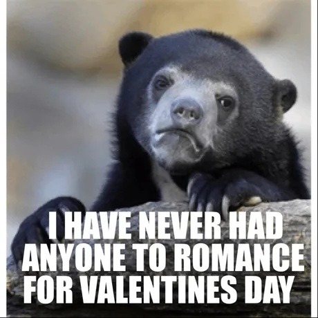 I have never had anyone to romance for Valentines Day