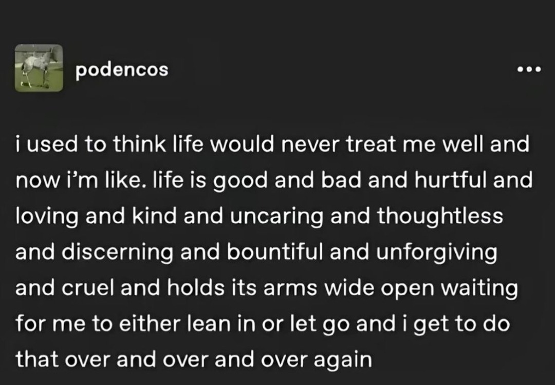 i used to think life would never treat me well and now i’m like. life is good and bad and hurtful and loving and kind and uncaring and thoughtless and discerning and bountiful and unforgiving and cruel and holds its arms wide open waiting for me to either lean in or let go and i get to do that over and over and over again