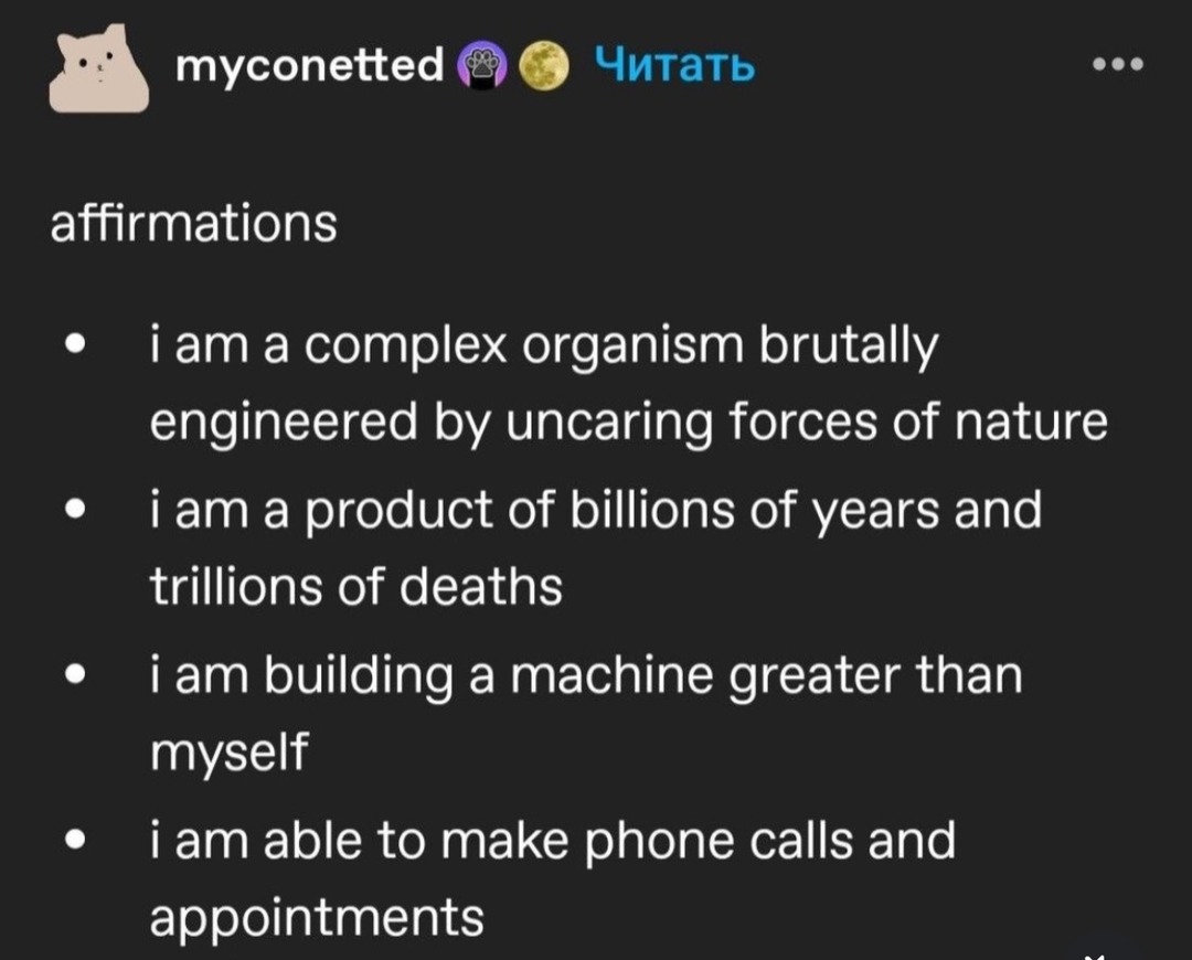 affirmations

• i am a complex organism brutally engineered by uncaring forces of nature
• i am a product of billions of years and trillions of deaths
• i am building a machine greater than myself
• i am able to make phone calls and appointments